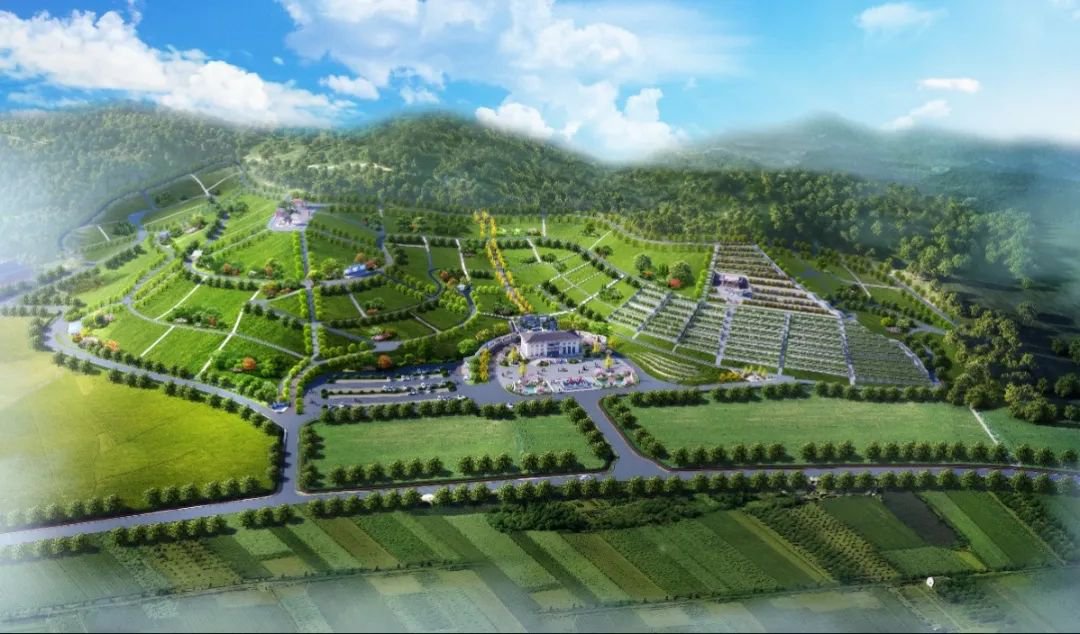 AG真人国际(中国)官方网站