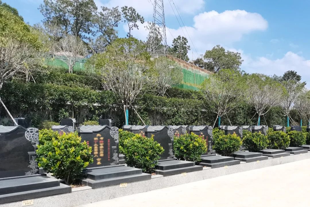 AG真人国际(中国)官方网站