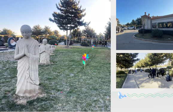 AG真人国际(中国)官方网站