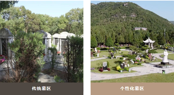 AG真人国际(中国)官方网站