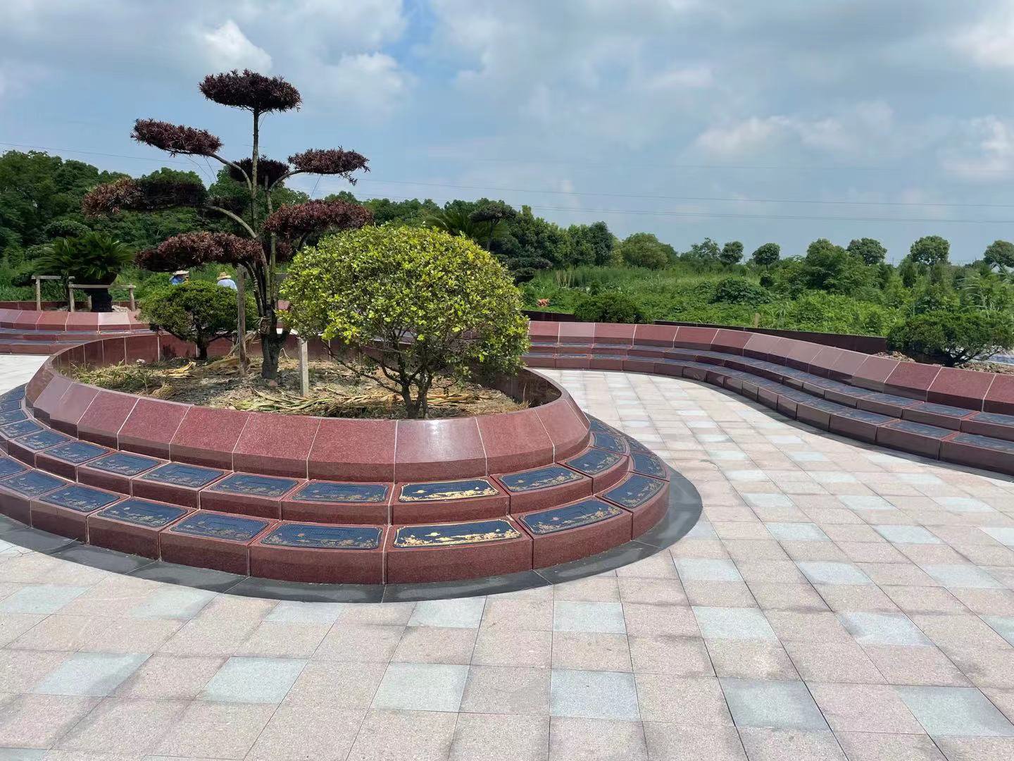 AG真人国际(中国)官方网站