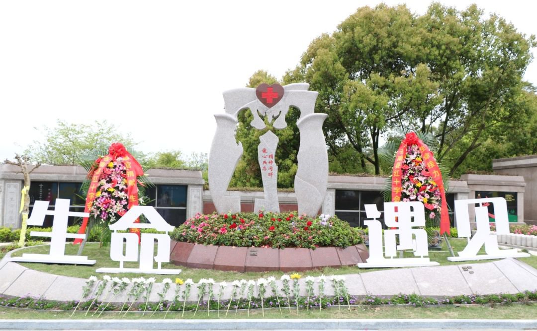 AG真人国际(中国)官方网站