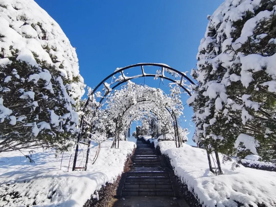 雪落玉龙，，，，三冬含暖。。。。