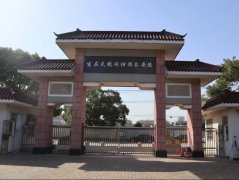 微刷新，，，，，，为老墓园增添一抹新“绿”