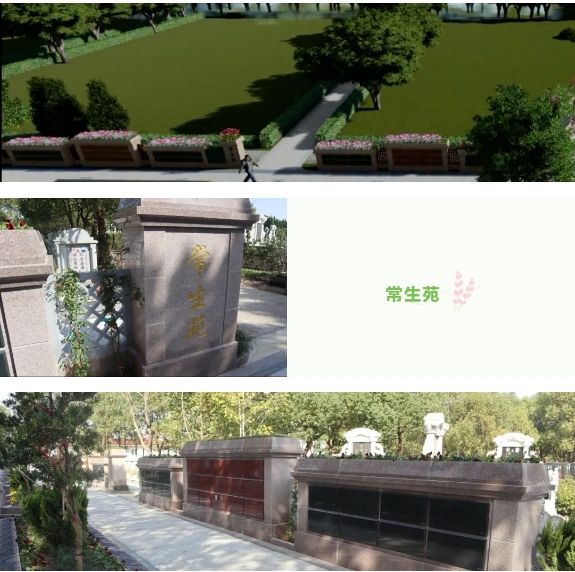 AG真人国际(中国)官方网站