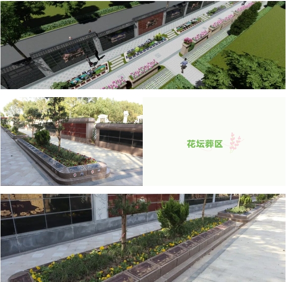AG真人国际(中国)官方网站