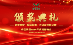 2024年ag真人国际集团迎新春年会暨颁奖仪式盛放纵行