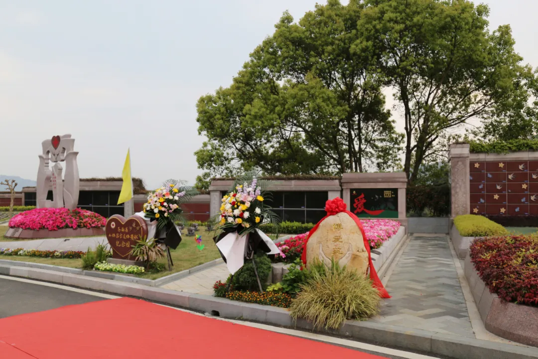 AG真人国际(中国)官方网站