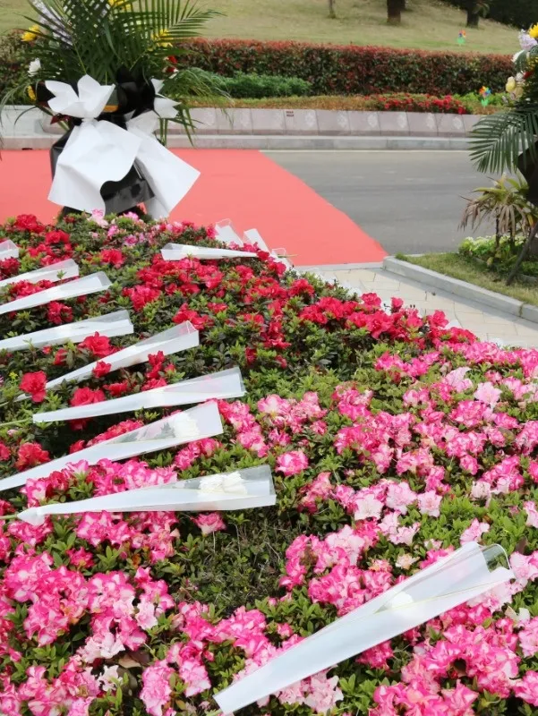 AG真人国际(中国)官方网站