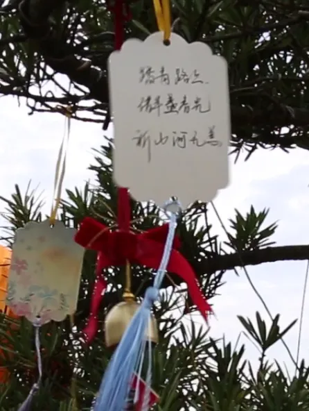 AG真人国际(中国)官方网站