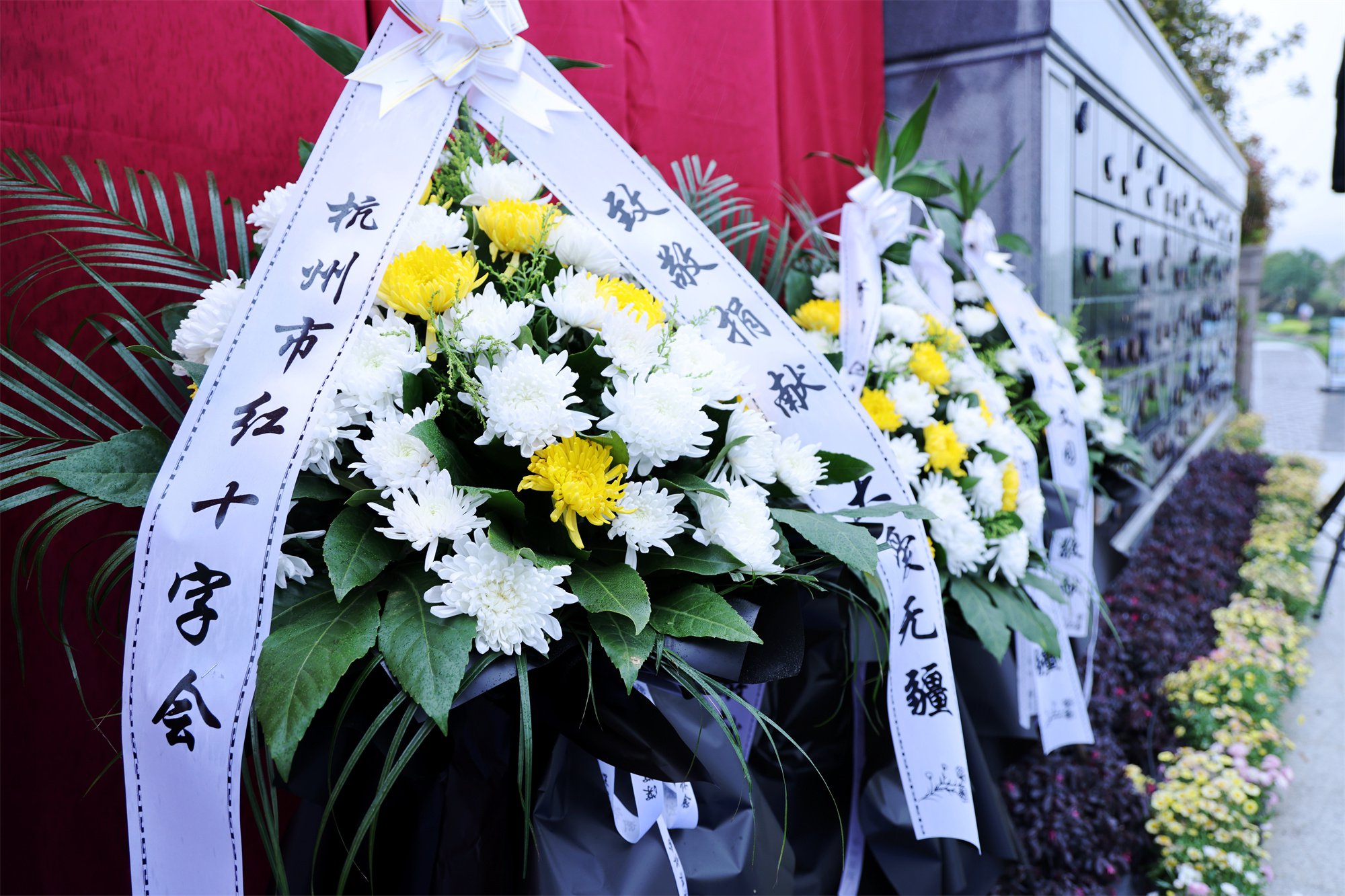AG真人国际(中国)官方网站