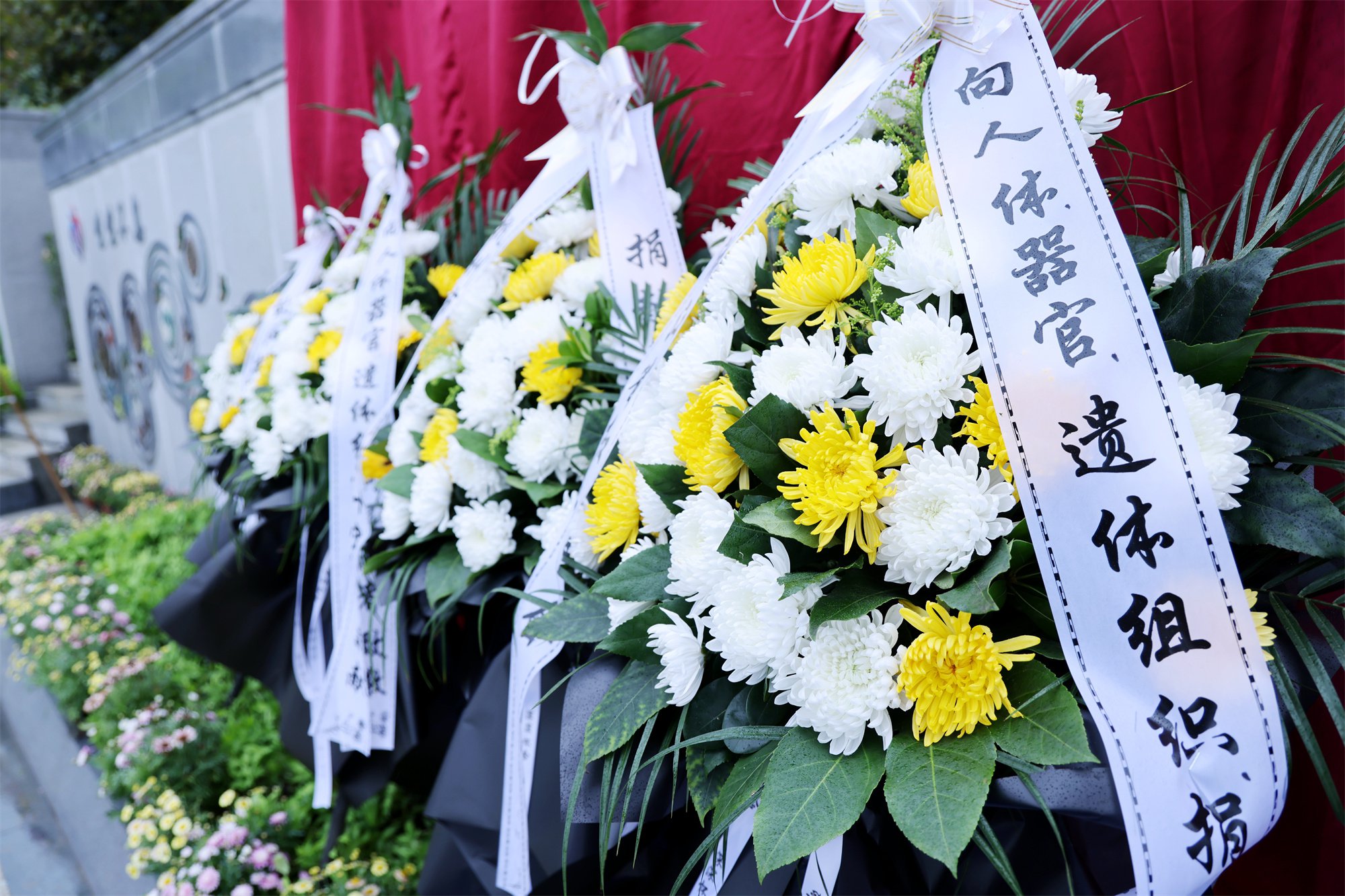 AG真人国际(中国)官方网站