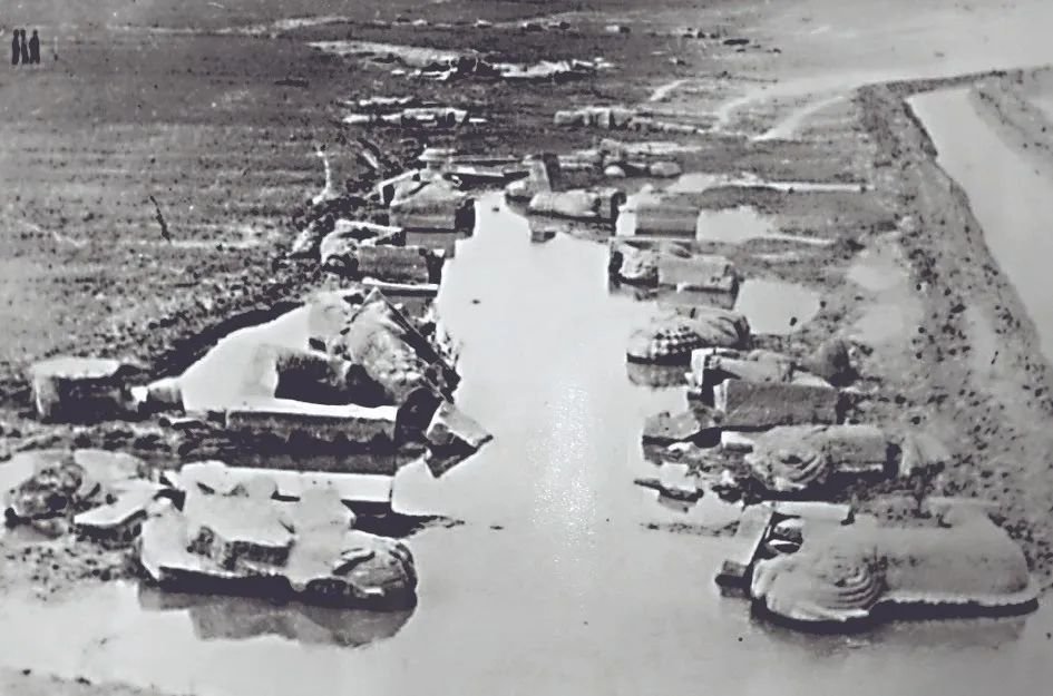 AG真人国际(中国)官方网站