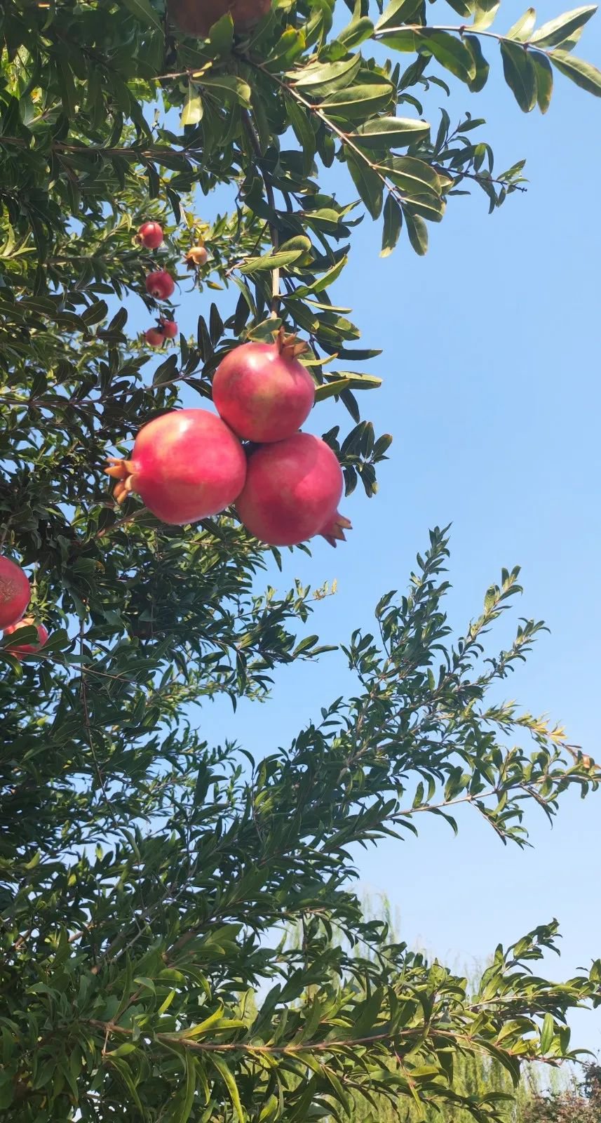 AG真人国际(中国)官方网站