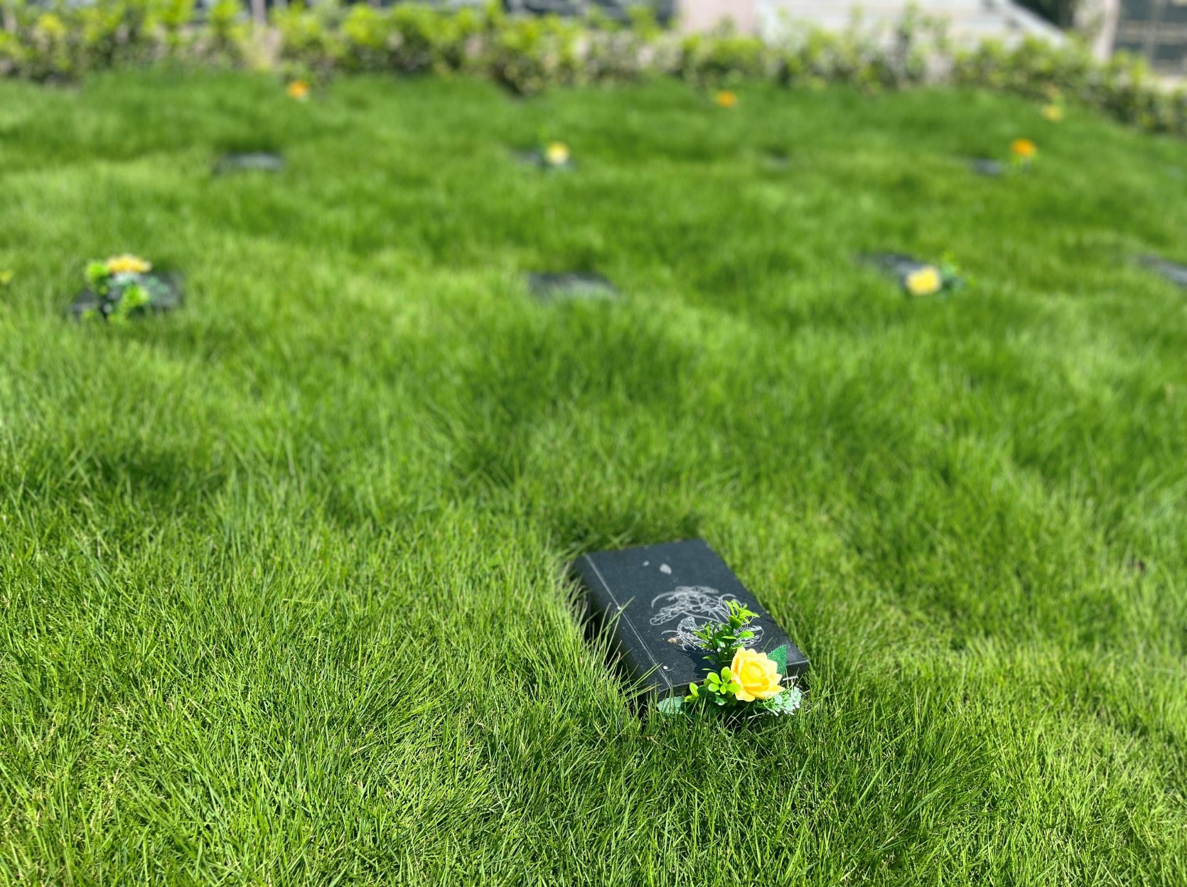 AG真人国际(中国)官方网站