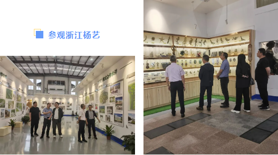 AG真人国际(中国)官方网站