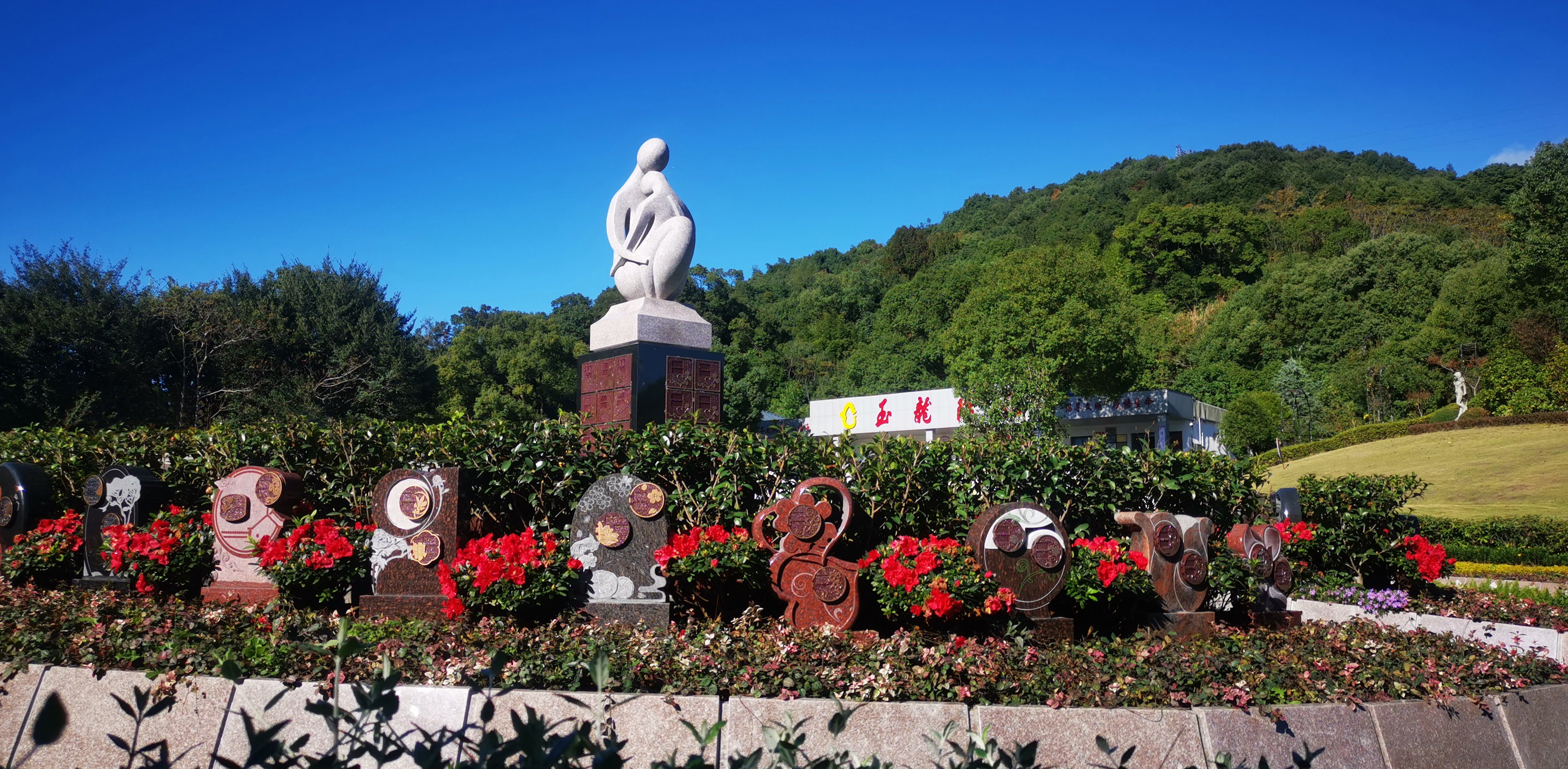 未来，，，，，生态葬或将成为主流