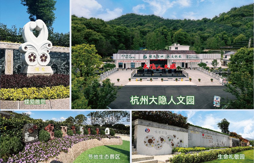 AG真人国际(中国)官方网站