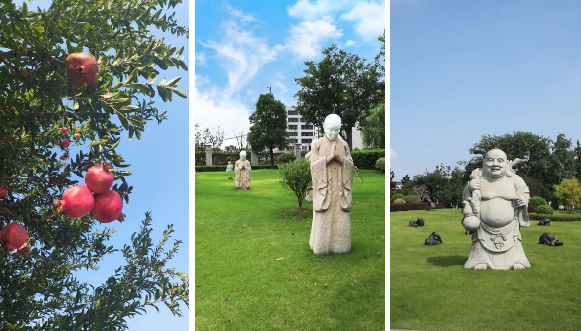 AG真人国际(中国)官方网站