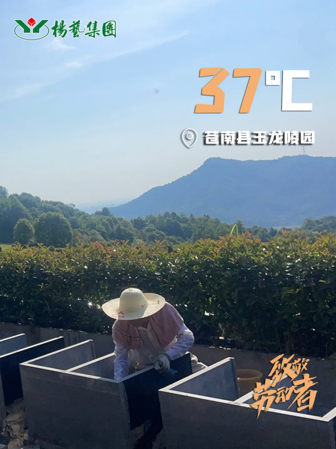 AG真人国际(中国)官方网站