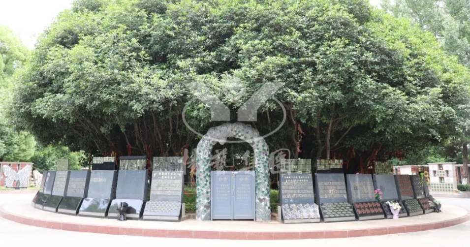 AG真人国际(中国)官方网站