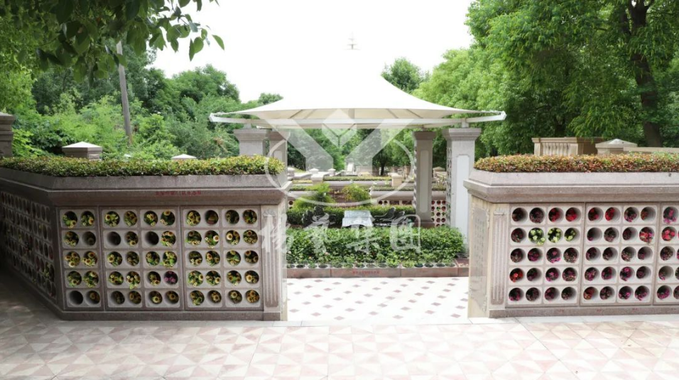 AG真人国际(中国)官方网站