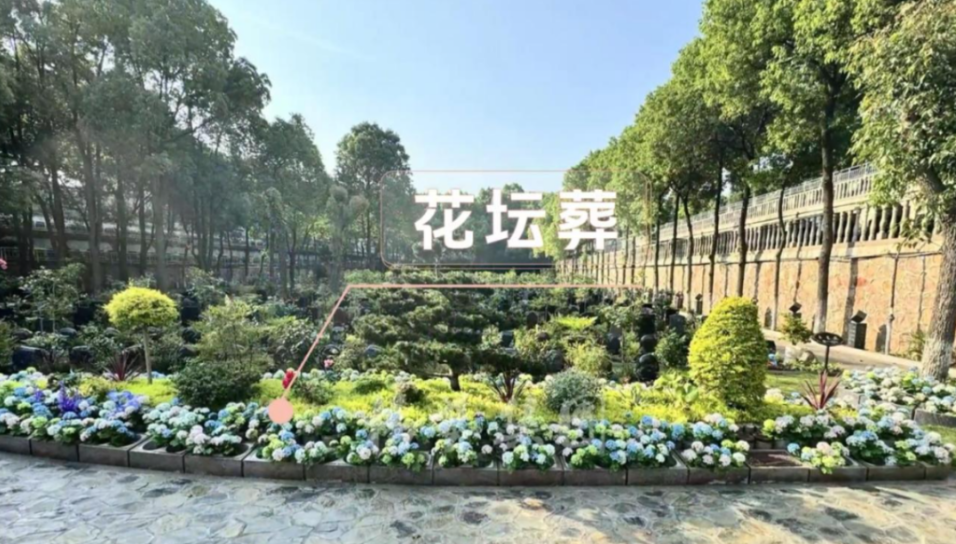 AG真人国际(中国)官方网站