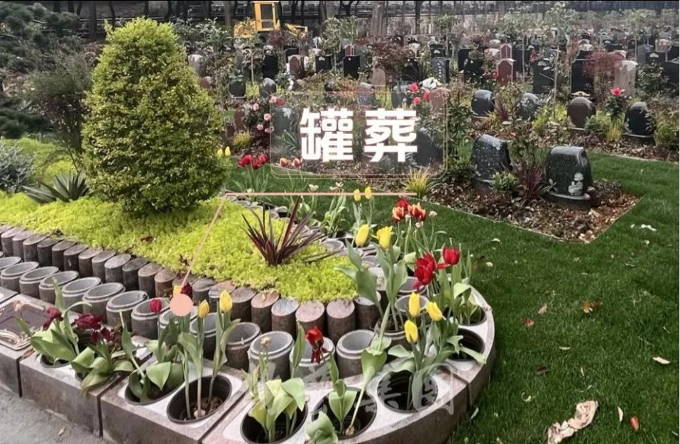 AG真人国际(中国)官方网站