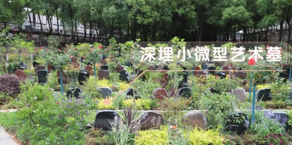 AG真人国际(中国)官方网站