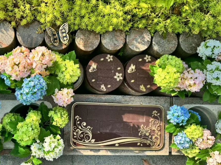 AG真人国际(中国)官方网站