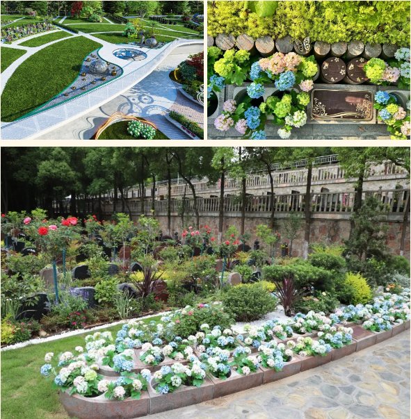 AG真人国际(中国)官方网站