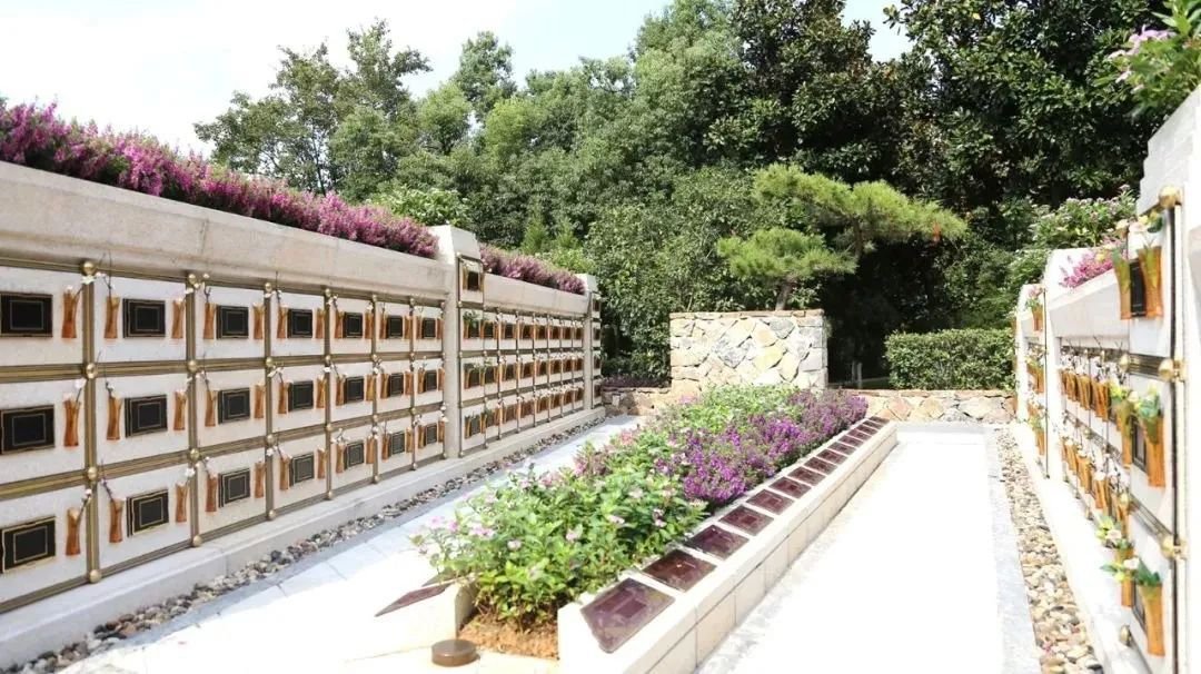 AG真人国际(中国)官方网站