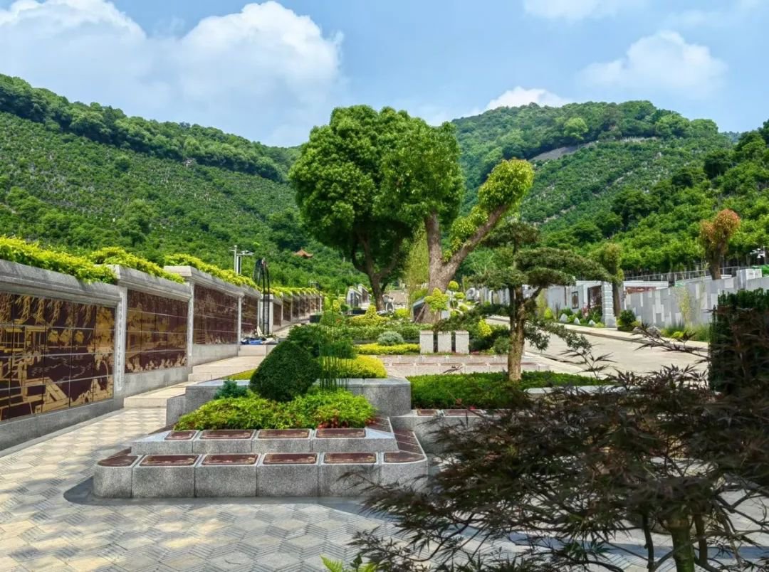 AG真人国际(中国)官方网站