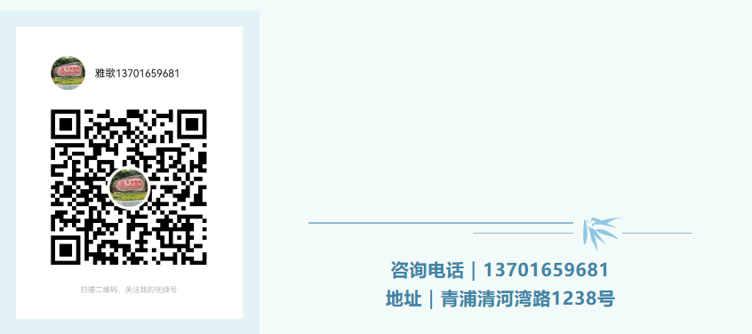 AG真人国际(中国)官方网站