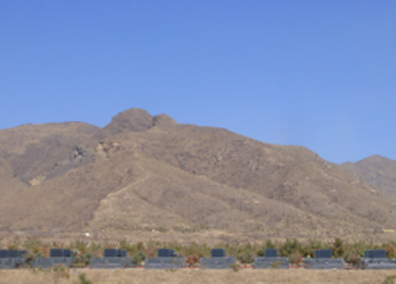 AG真人国际(中国)官方网站