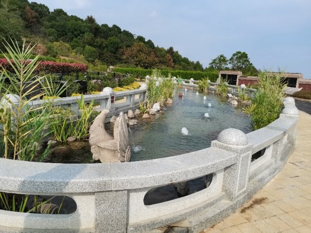 AG真人国际(中国)官方网站