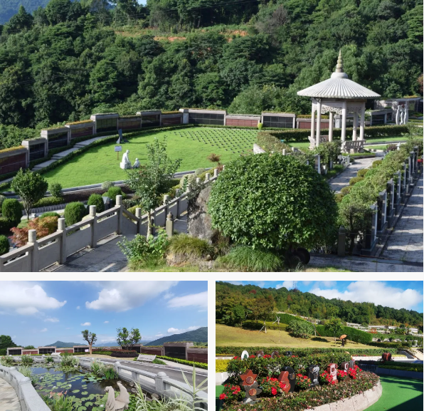 AG真人国际(中国)官方网站