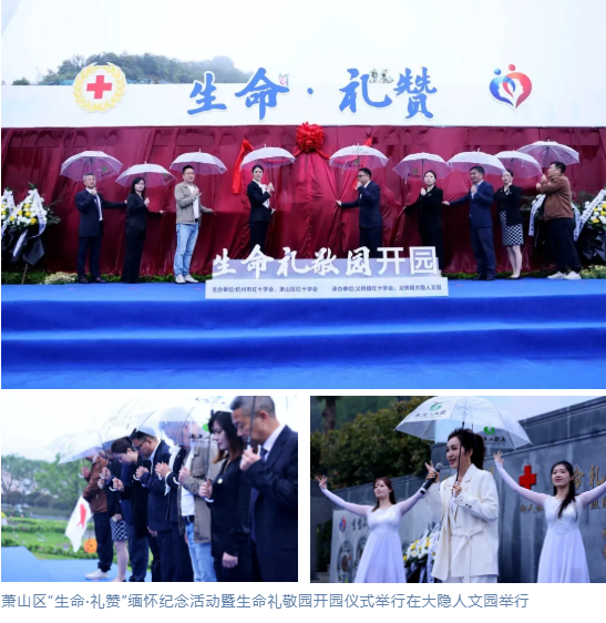 AG真人国际(中国)官方网站