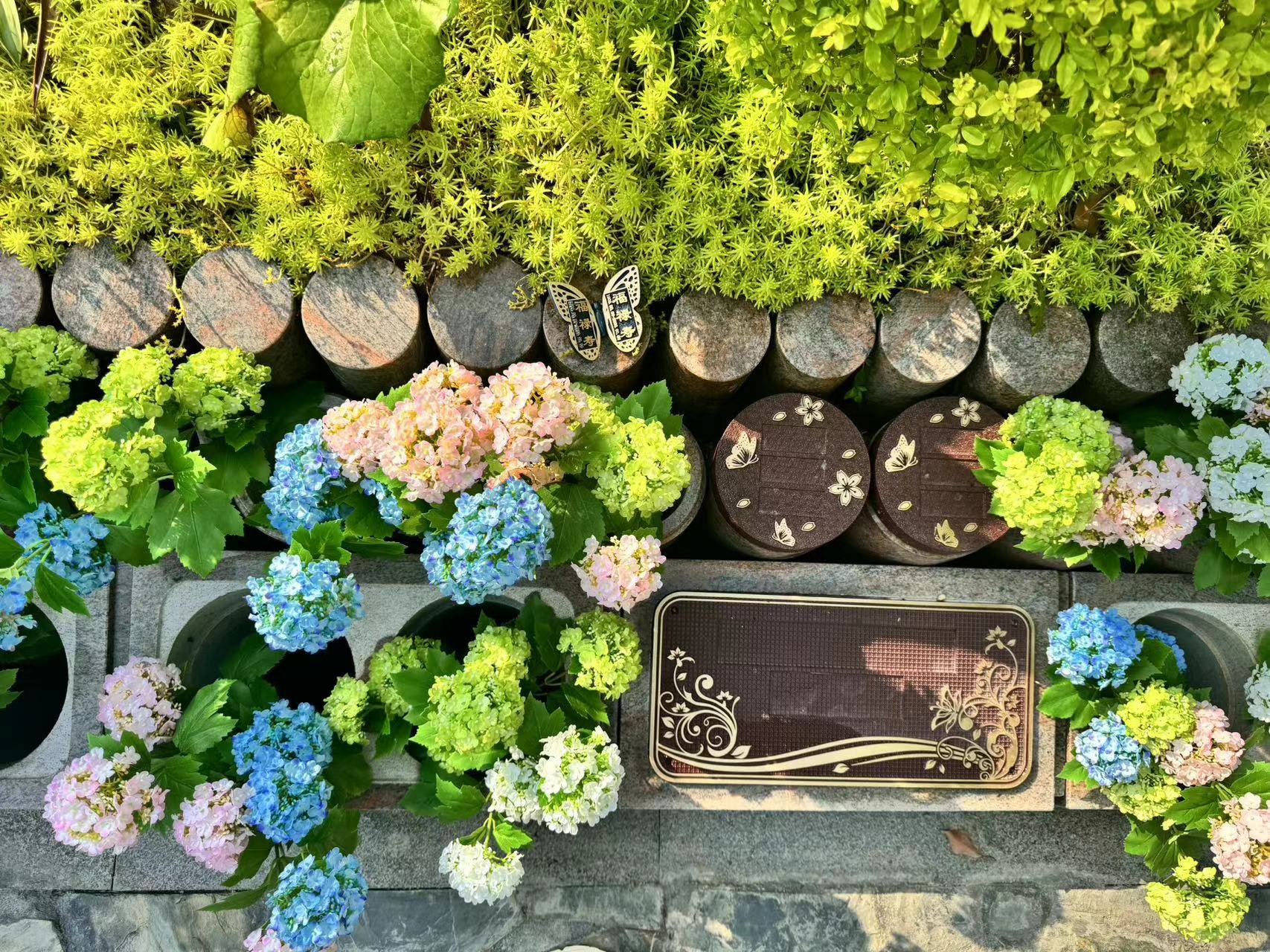 AG真人国际(中国)官方网站