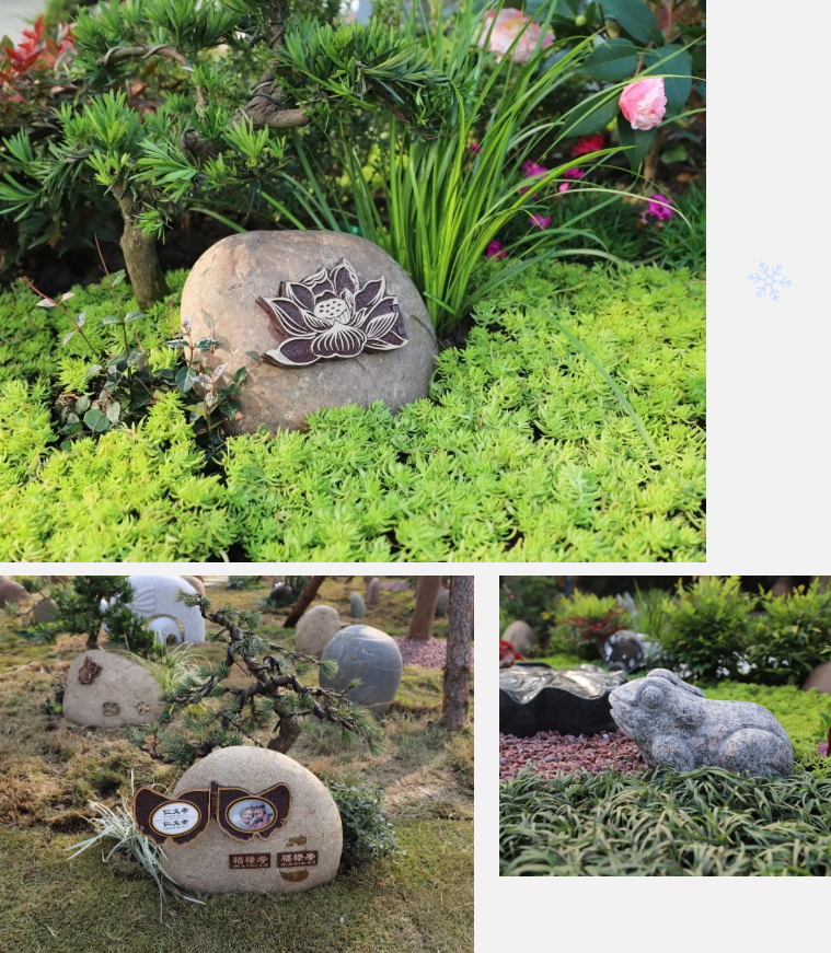 AG真人国际(中国)官方网站