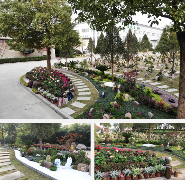 AG真人国际(中国)官方网站