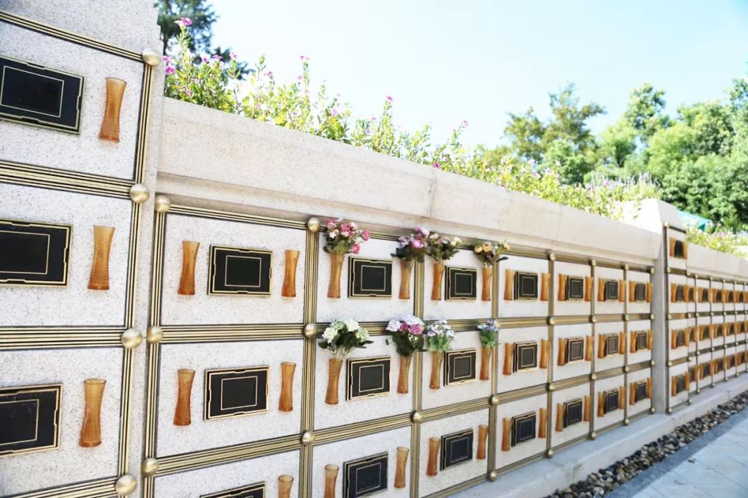 AG真人国际(中国)官方网站