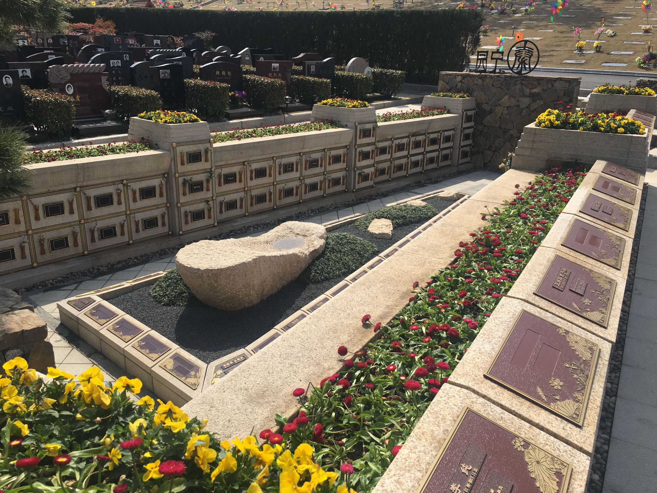 AG真人国际(中国)官方网站