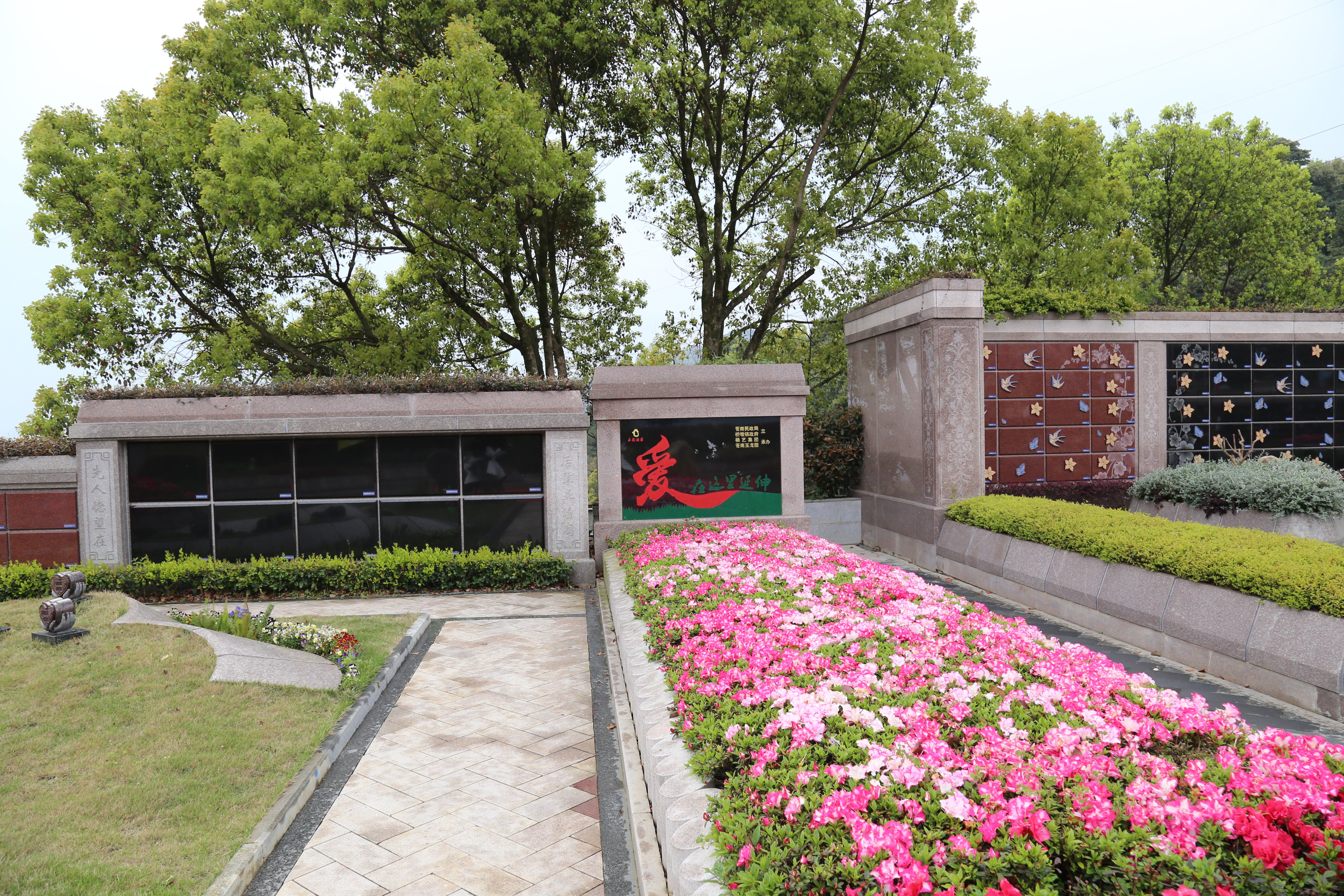 AG真人国际(中国)官方网站