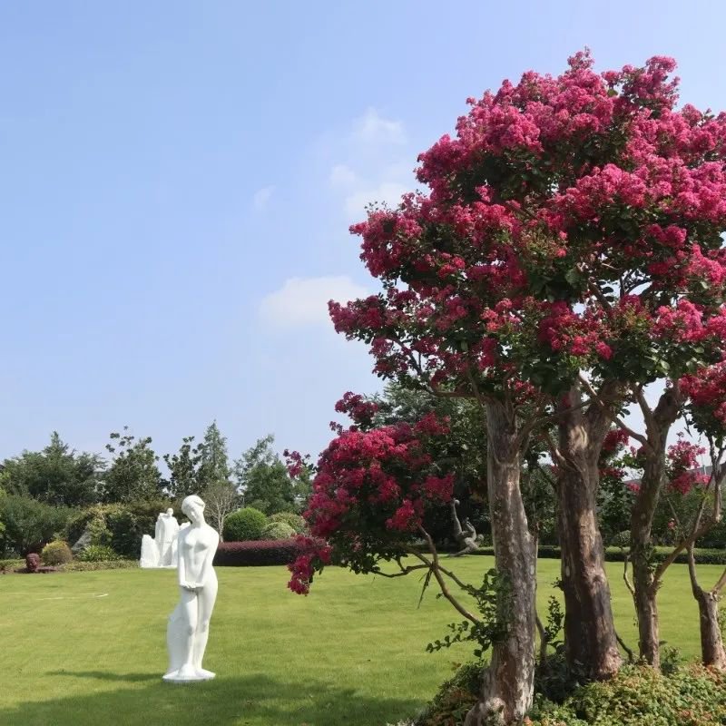 AG真人国际(中国)官方网站