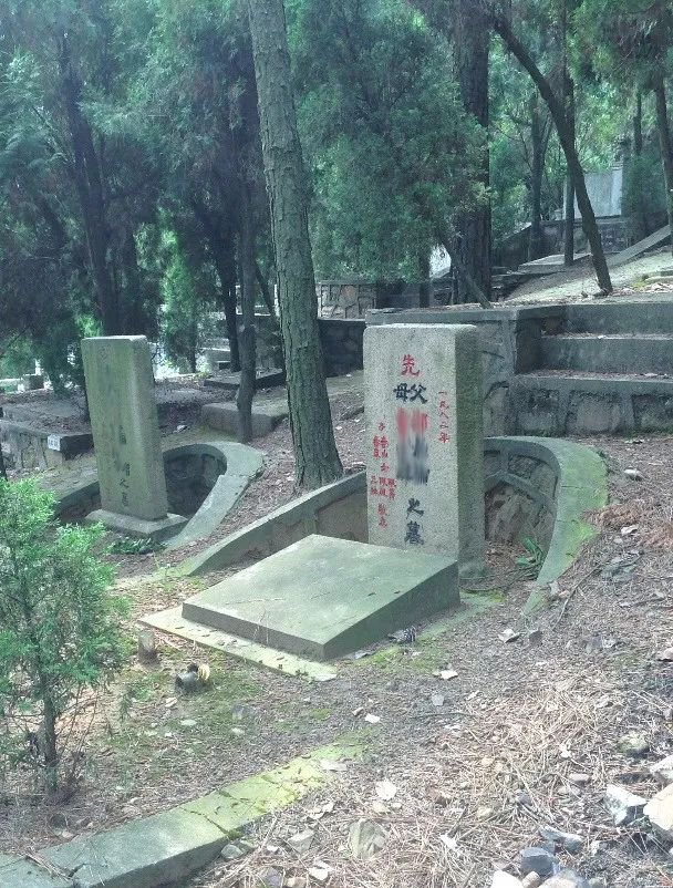 AG真人国际(中国)官方网站