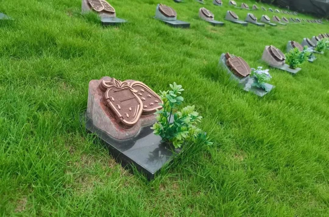 AG真人国际(中国)官方网站