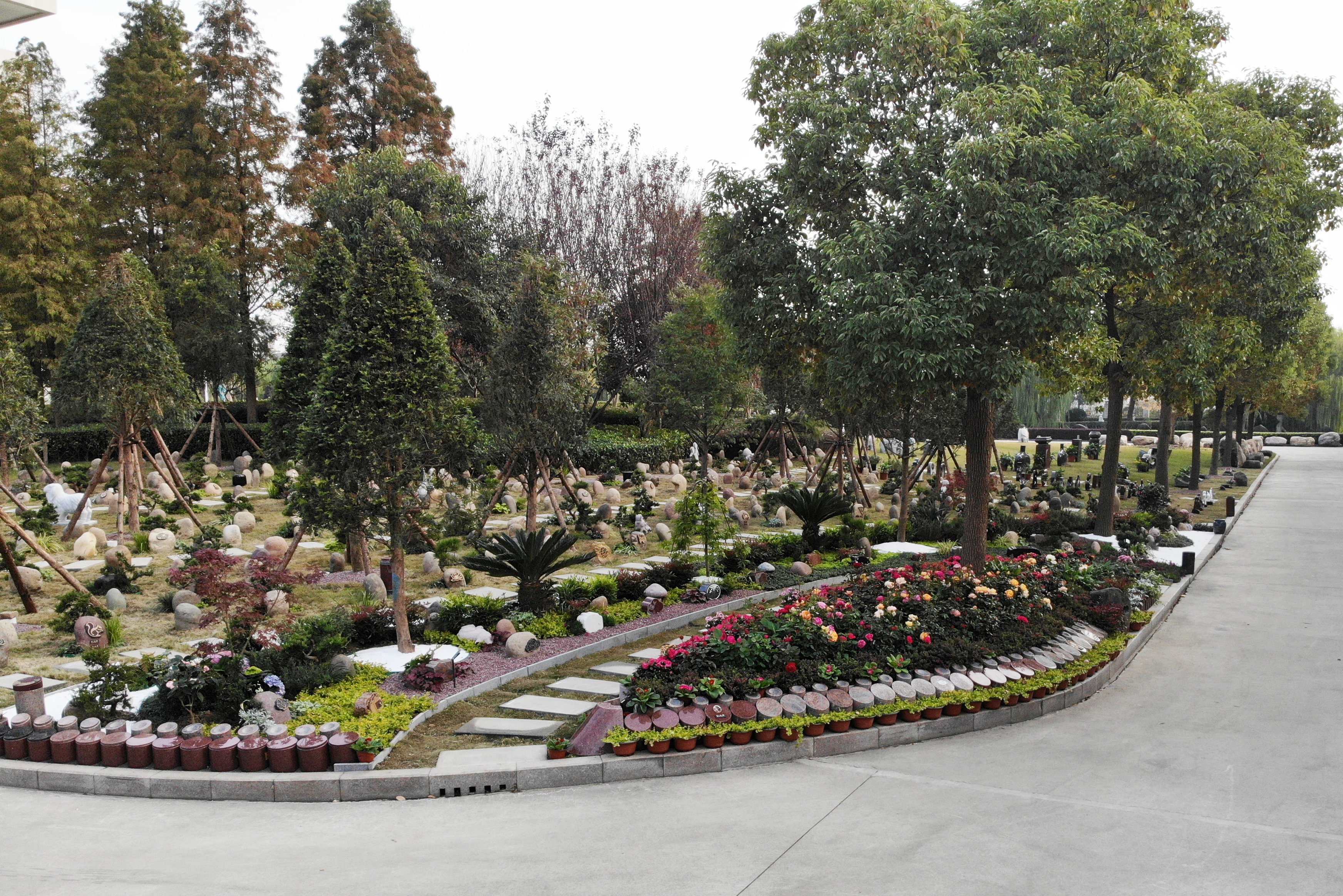 AG真人国际(中国)官方网站