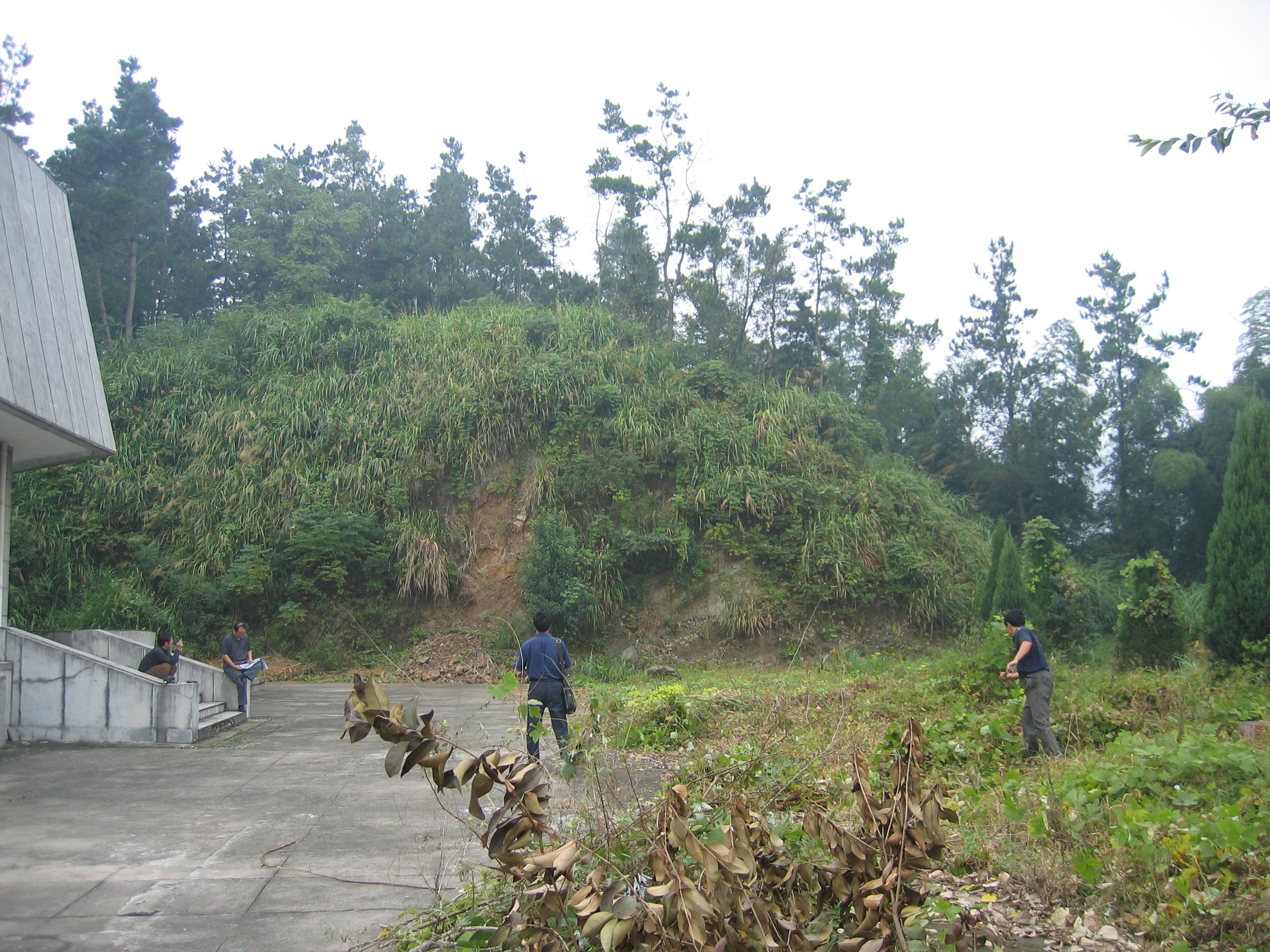 AG真人国际(中国)官方网站