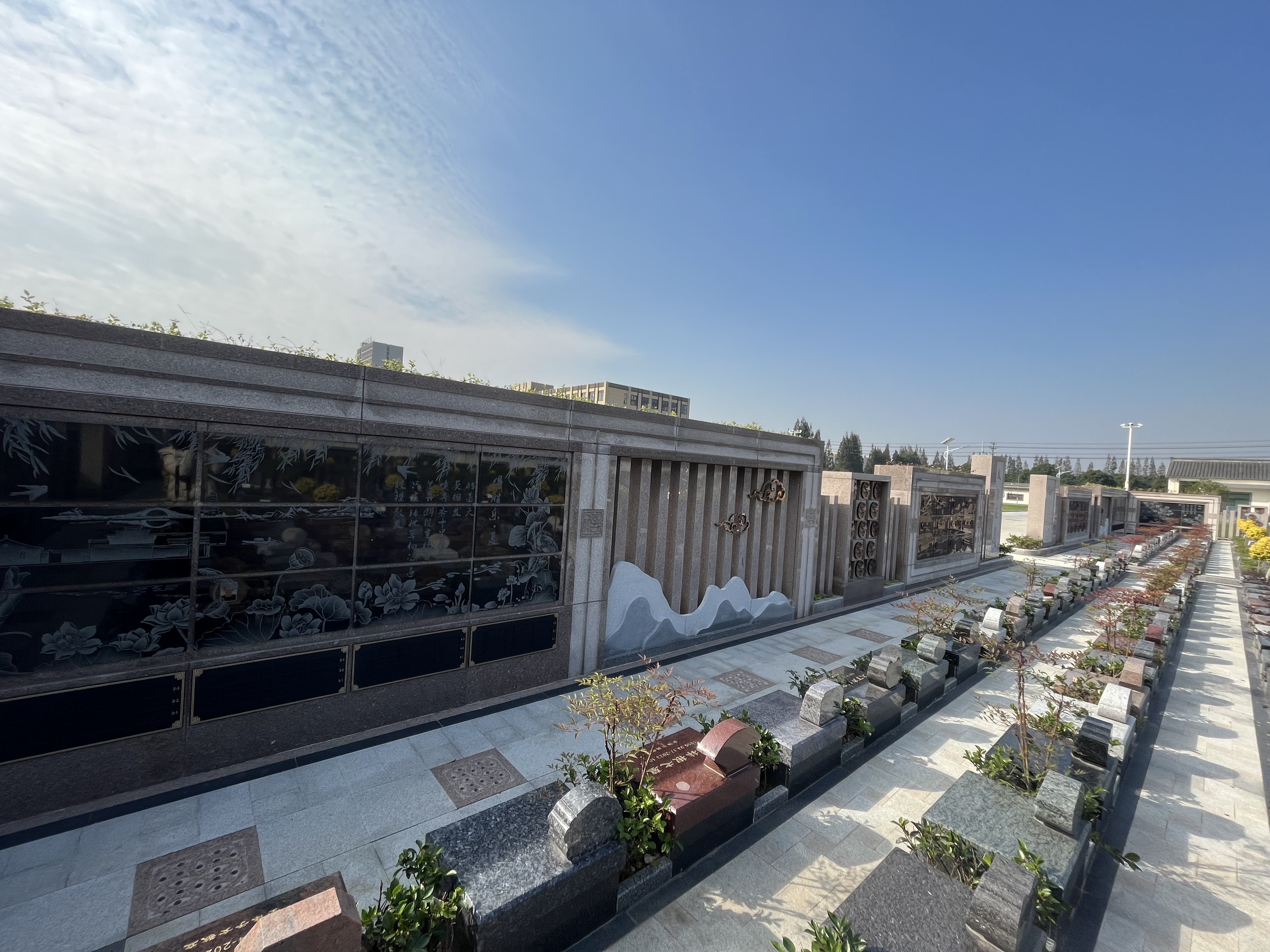 AG真人国际(中国)官方网站